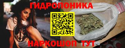 крисы Берёзовский