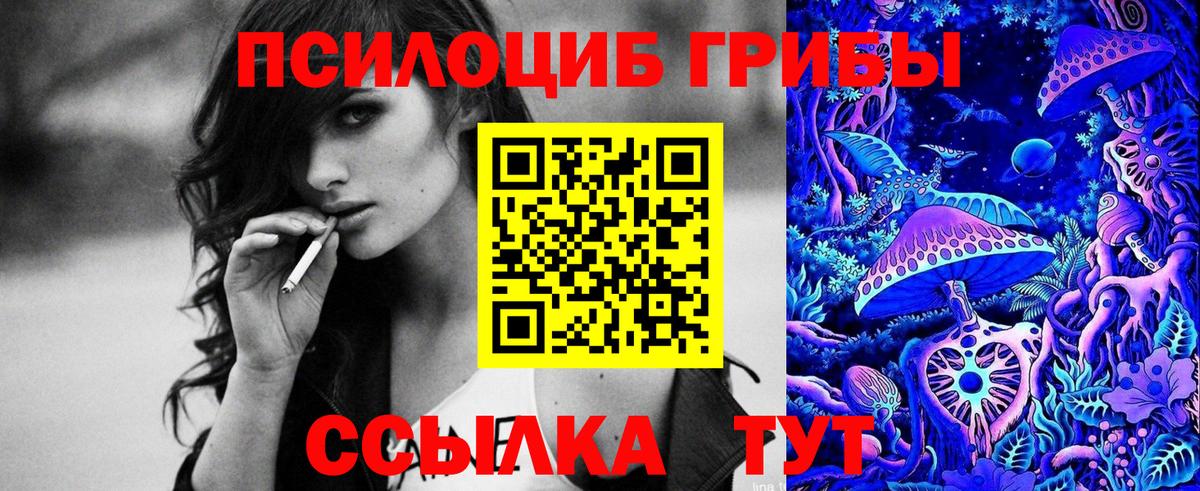 Псилоцибиновые грибы GOLDEN TEACHER  Вход с VPN  Коломна 