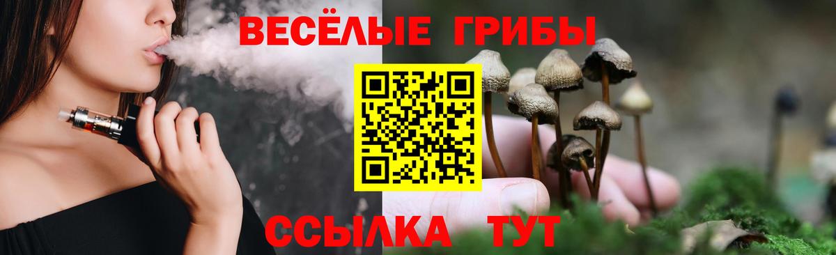 Галлюциногенные грибы Cubensis Коломна
